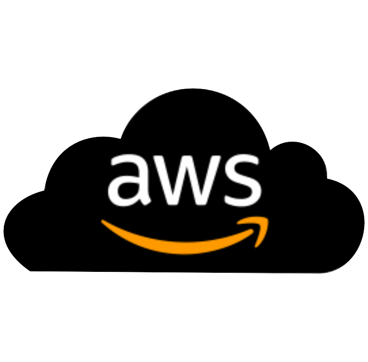 AWS icon